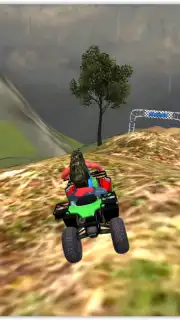 Offroad Quad Bike capture 6