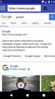 GL Browser capture 1