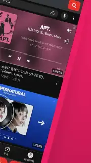 MyTube capture 2