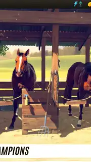 Rival Stars Horse Racing capture 5