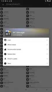 MT Manager capture 3