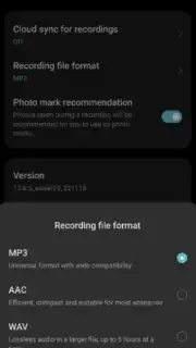 ColorOS Recorder capture 10