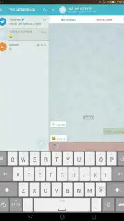 THE MESSENGER capture 3