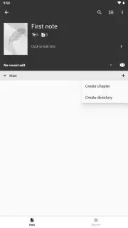 Writer Lite capture 2