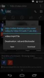 Broloader Video Downloader capture 15