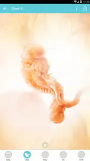 Pregnancy + capture 16