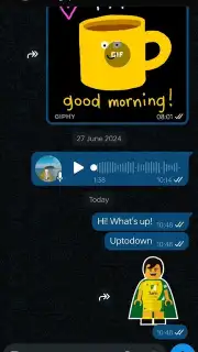 WhatsApp Business capture 10