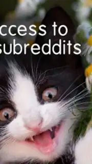 BaconReader for Reddit capture 3