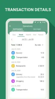 Money manager & expenses capture 6