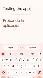 Google Translate capture 13