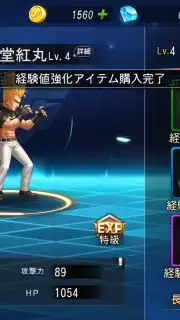 SNK Allstar (JP) capture 4