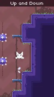 Cat Bird capture 12