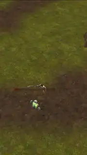 Polyma capture 6