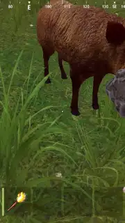 Oxide capture 3