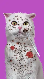 Cat ASMR: Salon Makeover capture 5