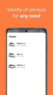 DiDi capture 3
