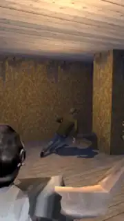 Play for Granny or Grandpa capture 3