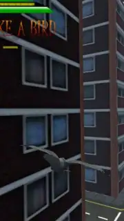 Fly like a bird 3 lite capture 2