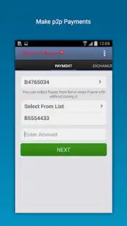 Perfect Money capture 5