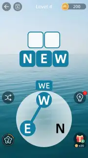 Zen Word capture 17