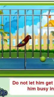 Parrot Pet Shop capture 2