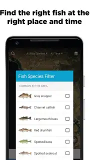 FishBrain capture 6