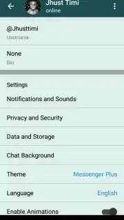 Messenger Plus capture 6
