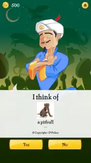Akinator capture 9