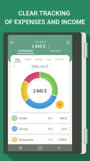 Money manager & expenses capture 11