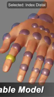 Hand Mannequin capture 7