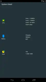 Fast Cleaner capture 2