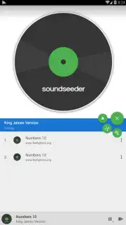 SoundSeeder capture 2