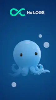 Octohide VPN capture 3