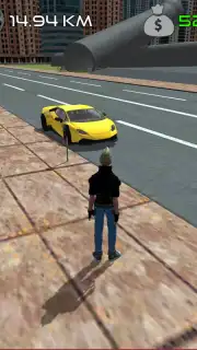 Car Simulator capture 1