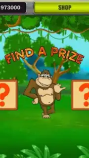 Millionaire capture 9