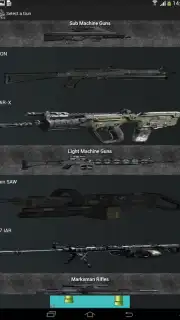 Gun Camera capture 9