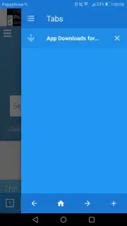 Fast Browser capture 3