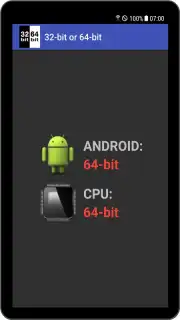 32-bit or 64-bit capture 1