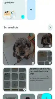 Pixel Screenshots capture 2