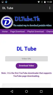 DL Tube capture 11