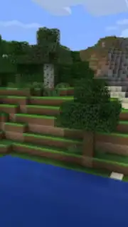 Minicraft capture 2