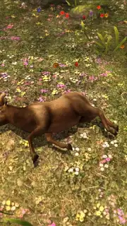 Deer Hunter Classic capture 4