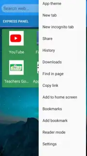 360 BROWSER capture 2