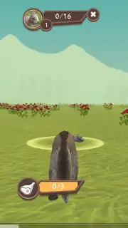 WildCraft capture 5