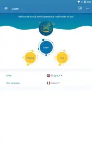 Reverso Translation Dictionary capture 15