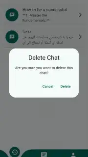 Chat Mate capture 12
