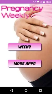 Pregnancy Weekly capture 1