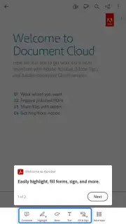 Adobe Acrobat Reader capture 1