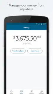 PayPal Business capture 5