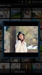 MobileLink capture 1